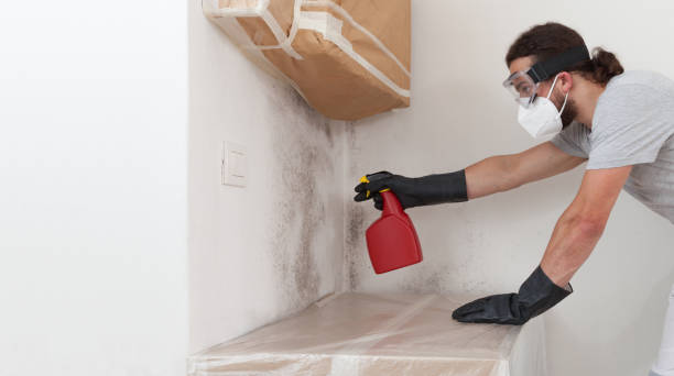 Attic Mold Remediation treatment on roof deck in Clarence